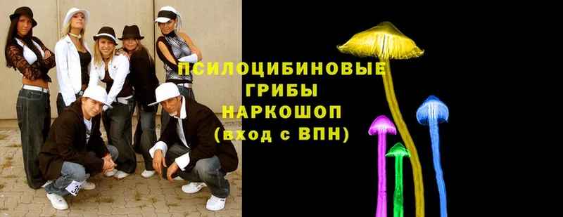 Галлюциногенные грибы MAGIC MUSHROOMS  наркошоп  Гдов 